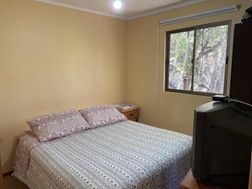 a bedroom with a bed and a window and a television at Cabañas Lomas del Manzano in San José de Maipo