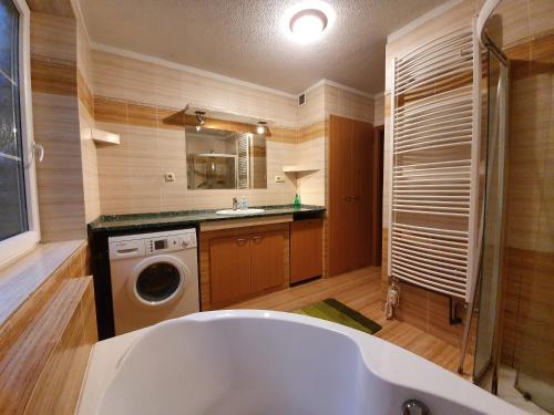 a bathroom with a tub and a washing machine at Apartmány Srní u Hlinska in Hlinsko