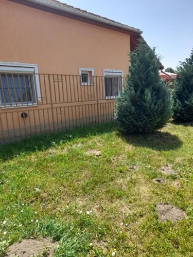 a christmas tree in a yard next to a fence at Thermál Apartman Tiszafüred in Tiszafüred