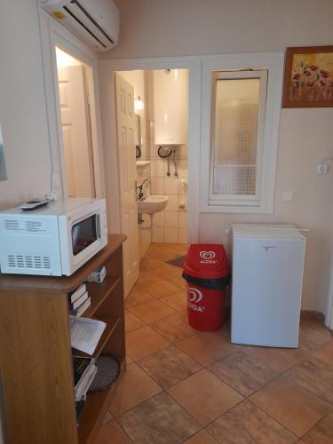 a small bathroom with a microwave on a counter at Thermál Apartman Tiszafüred in Tiszafüred
