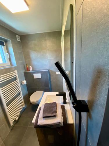 a bathroom with a sink and a toilet and a shower at La Grange du Logis in Waimes