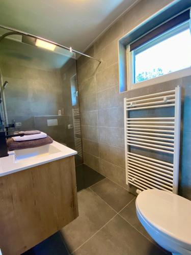 a bathroom with a toilet and a sink and a window at La Grange du Logis in Waimes