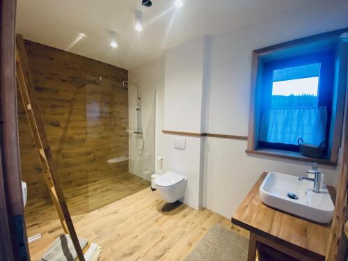 a bathroom with a toilet and a sink and a shower at ROZTOKI Four Seasons in Witów