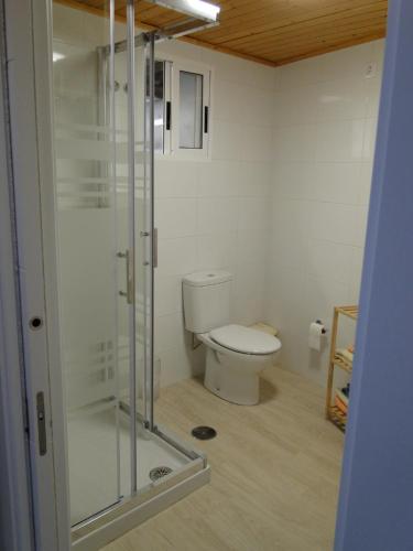 ビラノーバ・デ・アロウサにあるCasa Xulio Cambaのバスルーム(トイレ、ガラス張りのシャワー付)