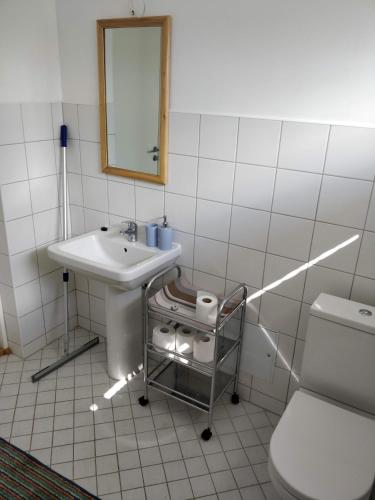 a bathroom with a sink and a toilet and a mirror at Laheveere in Värska