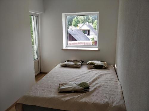 a bedroom with two beds and a window at Laheveere Villa in Värska