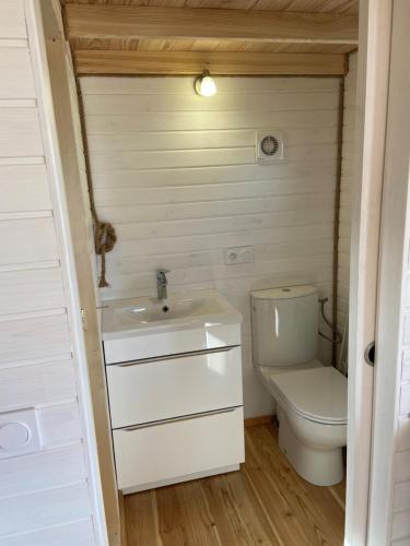 une salle de bain avec un lavabo blanc et des toilettes dans l'établissement Les Insolites du Domaine d'Haulmé, à Haulmé