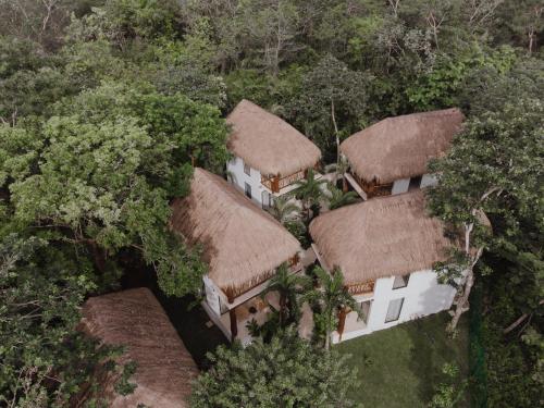 an aerial view of a house with thatched roofs at Amarbacalar in Bacalar