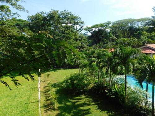 a view of a yard with a pool and trees at Villasjungle 2 in Sámara
