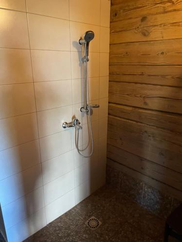 a shower in a bathroom with a wooden wall at Namelis - pirtelė in Plateliai