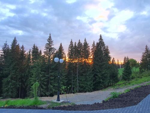 a street light in front of a forest of trees at Casa Sofia Bucovina in Ciumîrna
