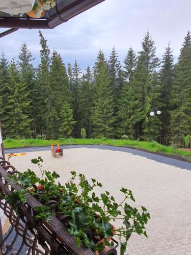 a couple of people sitting on the ground in a park at Casa Sofia Bucovina in Ciumîrna
