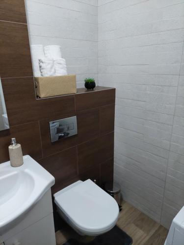 Bilik mandi di Apartament Ambrus