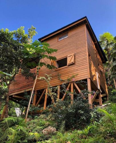 Banana Cottage Ecolodge & Spa في لو جوسيير: منزل خشبي كبير على تلة بها أشجار