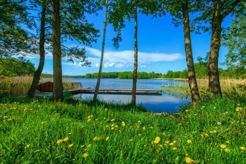 a bench on the shore of a lake with trees at Krzywe Zwierciadło in Mrągowo