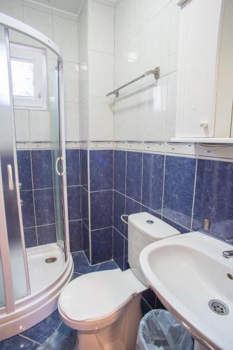 a bathroom with a toilet and a sink and a shower at Hotel Pavlović in Žabljak