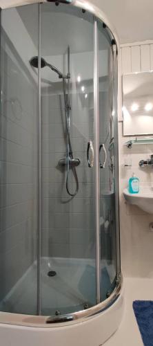 a shower with a glass door in a bathroom at Pension Arabela in Harrachov