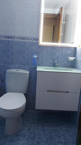 a bathroom with a toilet and a sink and a mirror at Los Llanos de Escarrilla in Escarrilla