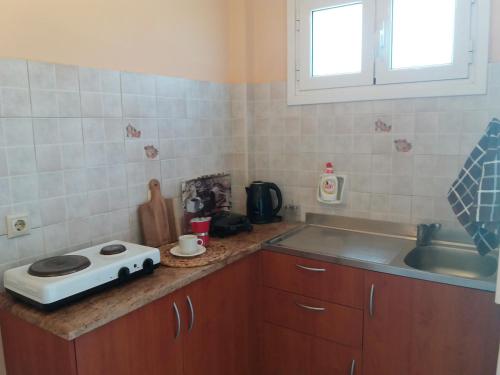 Kuchyň nebo kuchyňský kout v ubytování Alexandra Spingou Apartments