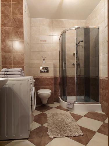 een badkamer met een douche, een toilet en een tapijt bij Apartament we Wrzeszczu in Gdańsk