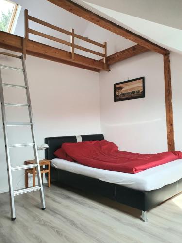 ein Schlafzimmer mit einem Etagenbett mit einer Leiter in der Unterkunft Helle, moderne Altbauwohnung in Zentrumsnähe in Osnabrück