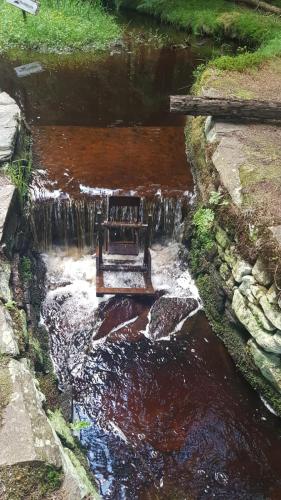 a bench sitting in the middle of a river at Ferienhaus Kühnhaide im Erzgebirge in Kühnhaide