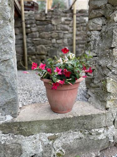 a pot of red flowers sitting on some steps at THE DORMOUSE - Il Ghiro in Reusa