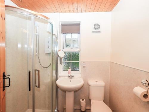 a bathroom with a toilet sink and a shower at Rose Cottage in Stranraer