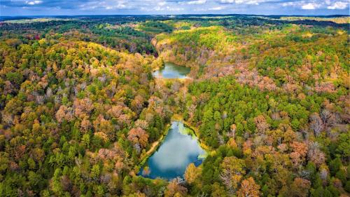 Cinnamon Valley – Photos 2