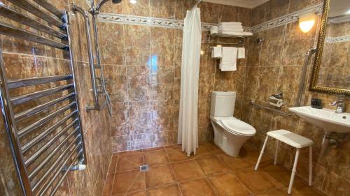 a bathroom with a shower and a toilet and a sink at Grand Arden Monaco Nelson in Nelson