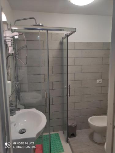 a bathroom with a shower with a sink and a toilet at VILLA GIULIANA stanze con bagno interno in Villa a 350 mt spiaggia libera Lido delle Sirene in Anzio