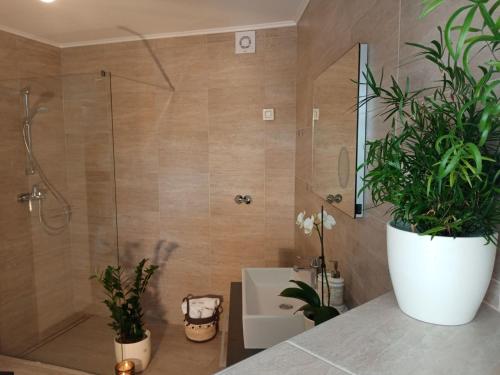 ein Badezimmer mit Dusche und zwei Pflanzen auf einer Theke in der Unterkunft Villa Nona Tamara with Astonishing Sea & Mountains View in Bribir
