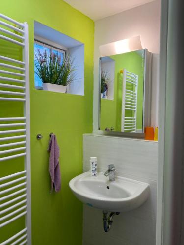 a green bathroom with a sink and a mirror at Ferienanlage Geisingblick in Geising