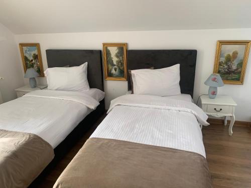 two beds sitting next to each other in a room at Casa Boem in Mogoşoaia