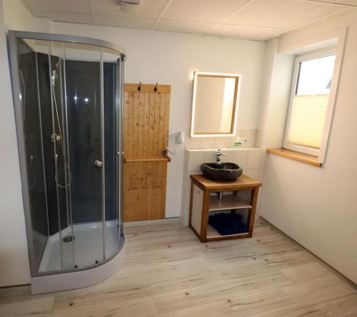 een badkamer met een glazen douche en een wastafel bij Gästezimmer zum rotem Karpfen in Erfurt