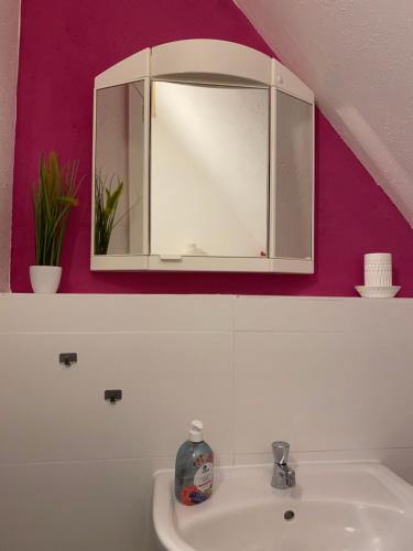 un lavabo con un botiquín encima en Geisingblick, en Geising