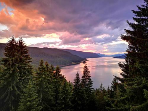 a view of a large body of water with trees at EldoSport Hotel in Dospat