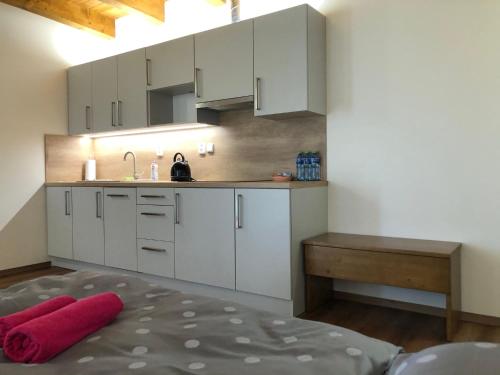 Kuchyň nebo kuchyňský kout v ubytování ANICO apartmány