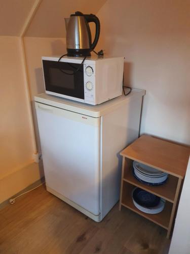 a microwave sitting on top of a refrigerator at Ubytování v rodinném domě in Hejnice