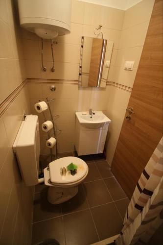 a small bathroom with a toilet and a sink at Apartment Gita in Sumartin