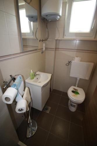 baño con lavabo y aseo y ventana en Privatna Soba Gita, en Sumartin
