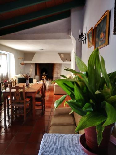 Un comedor con una mesa y una planta en maceta. en La Rejertilla, en El Burgo