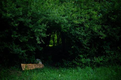 a bench sitting in the grass next to a forest at That's life Glamping - Dolomite Experience in Dorgnan