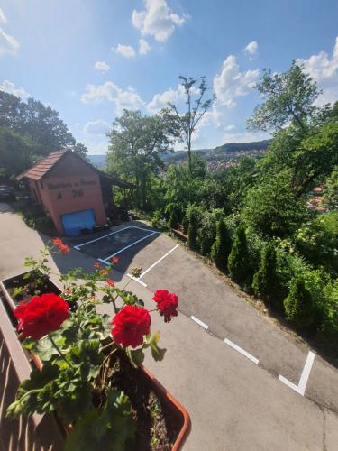 a parking lot with red flowers and a building at Kucica u Šumi in Užice