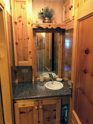 a bathroom with a sink and a mirror at Chalet Apartment Gran Zebrù in Oga