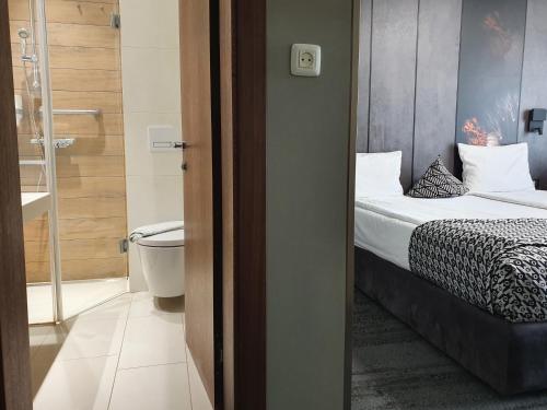 a bedroom with a bed and a bathroom with a toilet at Vila Topaz in Baile Felix
