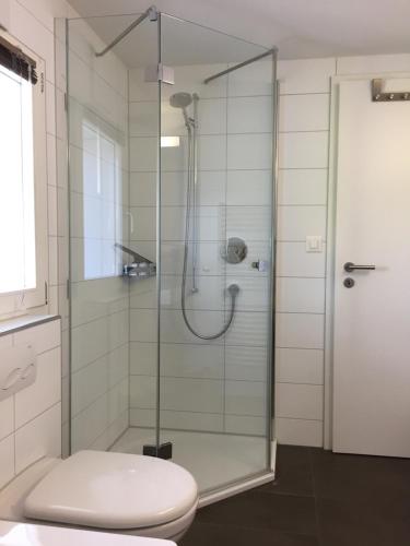 a bathroom with a glass shower with a toilet at Apartment auf dem Bauernhof in Luzern