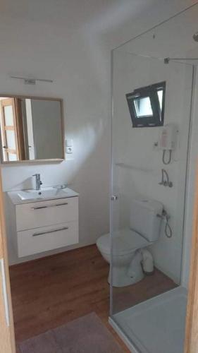 ein Badezimmer mit einem WC, einem Waschbecken und einem Spiegel in der Unterkunft Domek letniskowy Osieki in Osieki