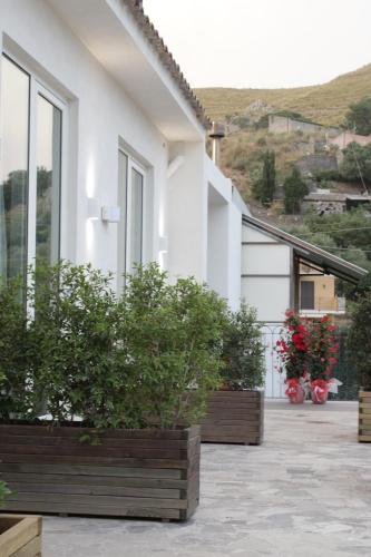 a white house with potted plants on a patio at Venere B&B Castelmola in Castelmola