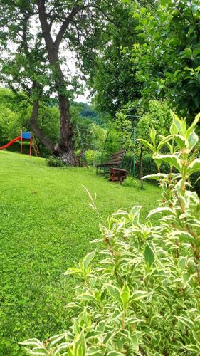 a green field with a tree and a playground at Silva House in Deva